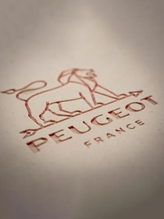 Peugeot Saveurs Appolia Plat four céramique individuel rectangulaire, , 22 cm - -> Idées Cadeaux -50€ | Plats Individuels