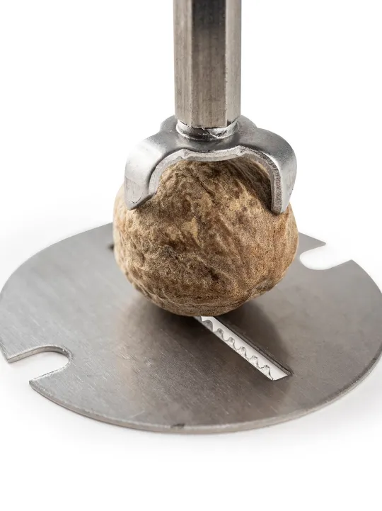 Peugeot Saveurs Daman Moulin à muscade manuel en inox et acryl 15 cm -> Envie De Design | Envie De Saveurs
