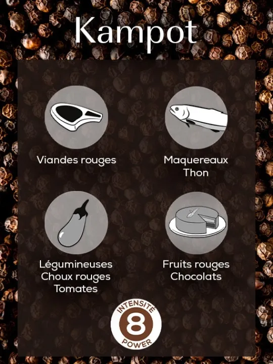 Peugeot Saveurs Kampot Poivre noir du cambodge, 60g - 3 sachets fraicheur de 20g -> Idées Cadeaux -50€ | Envie De Saveurs