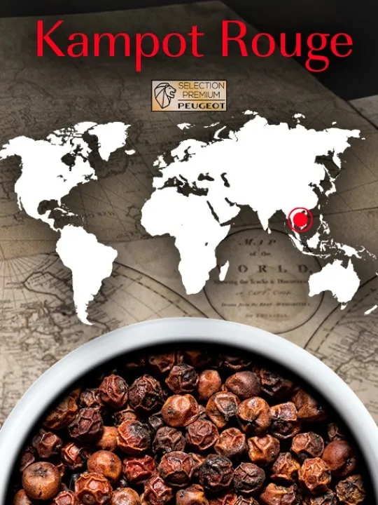 Peugeot Saveurs Kampot Poivre rouge du cambodge, 60g - 3 sachets fraicheur de 20g -> Idées Cadeaux -50€ | Epices Du Monde