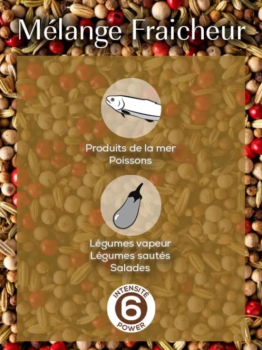 Peugeot Saveurs Mix fraîcheur Mélange de poivres pour poissons, 60g - 3 sachets fraicheur de 20g -> Envie De Saveurs | Idées Cadeaux -50€