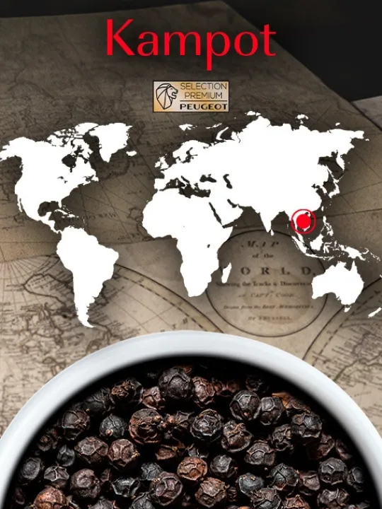 Peugeot Saveurs Multipack poivres premium Pack 3 poivres d'origine et 1 mélange exclusif -> Epices Du Monde
