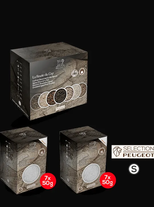 Peugeot Saveurs Sel blanc Pack de 2 étuis de gros sel de cuisine -> Idées Cadeaux -50€ | Envie De Saveurs