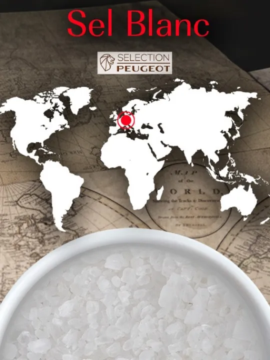 Peugeot Saveurs Sel blanc Pack de 2 étuis de gros sel de cuisine -> Idées Cadeaux -50€ | Envie De Saveurs
