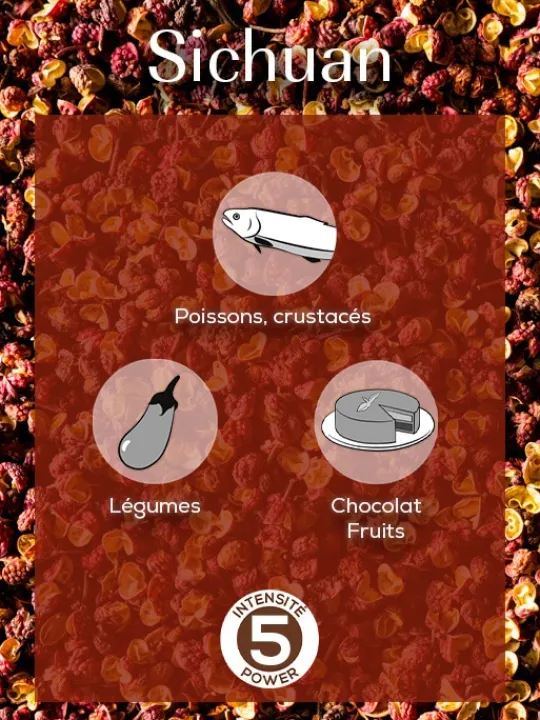 Peugeot Saveurs Sichuan Poivre rouge de chine, 40g - 4 sachets fraicheur de 10g -> Epices Du Monde