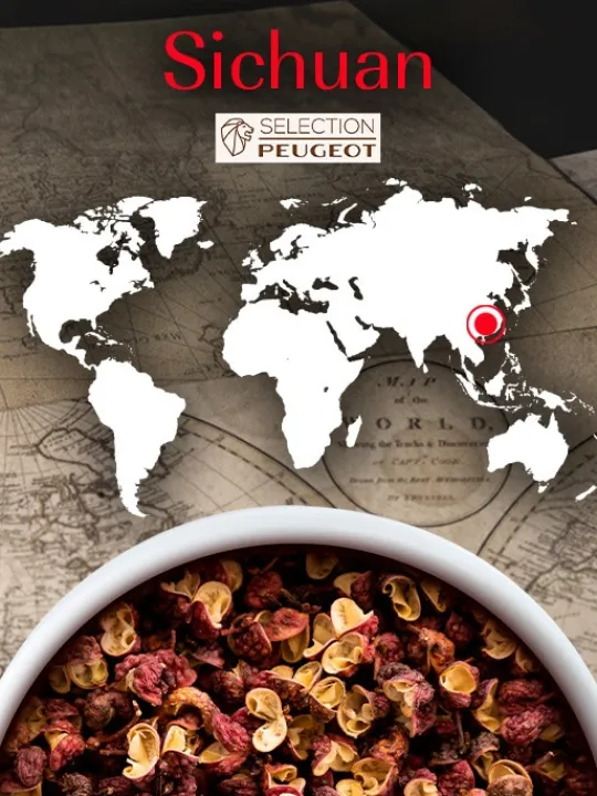 Peugeot Saveurs Sichuan Poivre rouge de chine, 40g - 4 sachets fraicheur de 10g -> Epices Du Monde