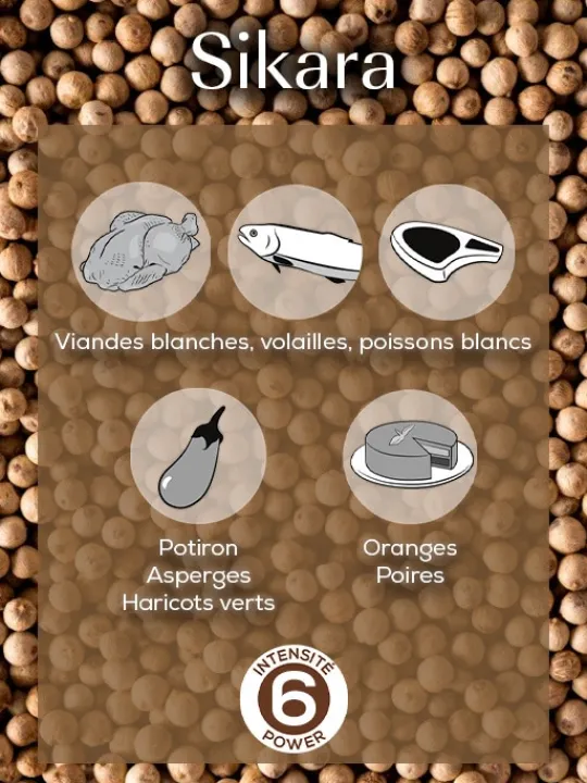 Peugeot Saveurs Sikara Poivre blanc de madagascar, 60g - 3 sachets fraicheur de 20g -> Idées Cadeaux -50€ | Envie De Saveurs