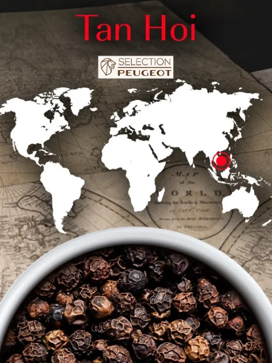 Peugeot Saveurs Tan hoi Poivre noir du vietnam, 80g - 4 sachets fraicheur de 20g -> Idées Cadeaux -50€ | Epices Du Monde
