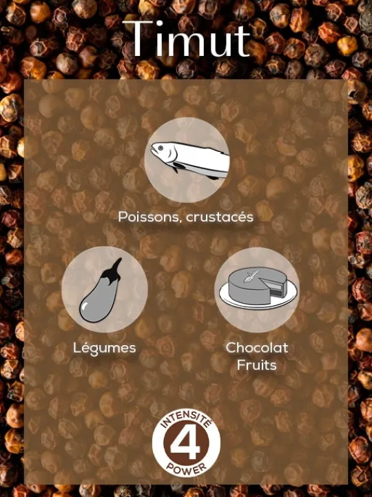 Peugeot Saveurs Timut Poivre sauvage du népal, 40g - 4 sachets fraicheur de 10g -> Epices Du Monde